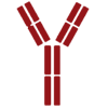 Biosimilar Opportunity Biosimilar Opportunity